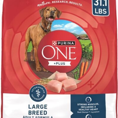 Purina ONE Plus Large Breed Adult Dog Food Dry Formula - 31.1 lb. Bag