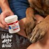 DOGSWELL Remedy Recovery Styptic Blood Stopper Powder for Dogs & Cats 1.5 oz. Container
