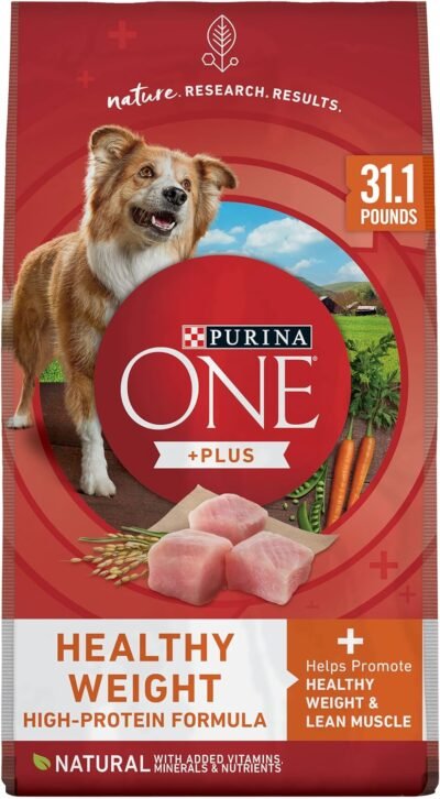 Purina ONE Plus Healthy Weight High-Protein Dog Food Dry Formula - 31.1 lb. Bag
