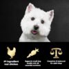 CESAR Small Breed Dry Dog Food Rotisserie Chicken Flavor and Spring Vegetables Garnish, 12 lb. Bag - Image 6