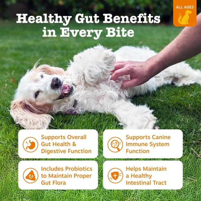 Zesty Paws Probiotics for Dogs - Digestive Enzymes for Gut Flora, Digestive Health, Diarrhea & Bowel Support - Clinically Studied DE111 - Dog Supplement Soft Chew for Pet Immune System - Chicken