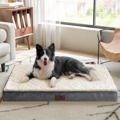 Figopage Dog Beds for Large Sized Dog Orthopedic-Waterproof Large Dog Bed for Crate, Egg Foam Big Pet Bed Mat with Ultra Soft Sherpa Surface and Removable Cover