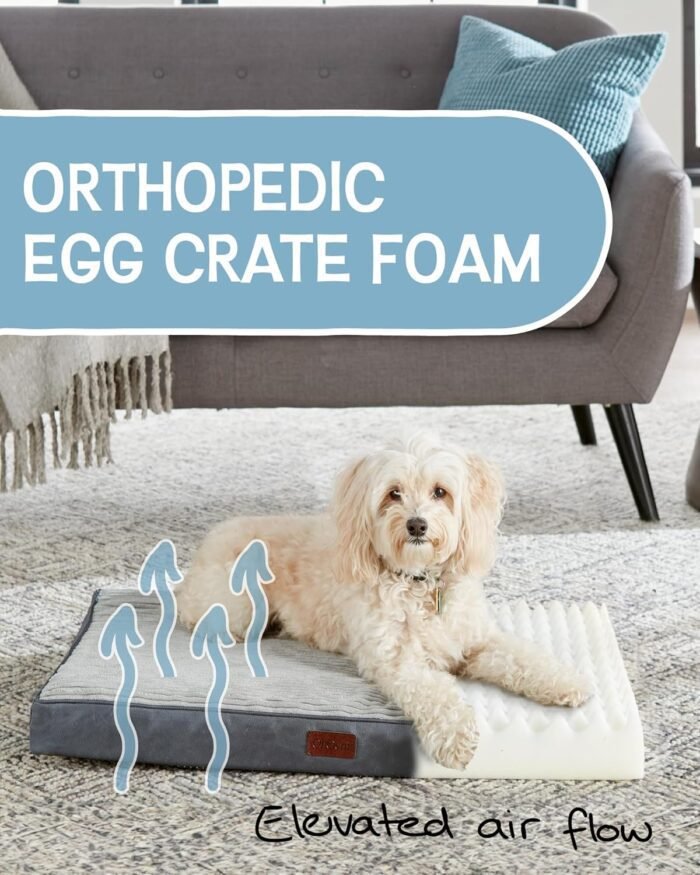 OhGeni 30 Inch Orthopedic Waterproof & Machine Washable Dog Bed for Small Medium Pets, 20D Egg Crate Foam Stable Support, Non-Slip Bottom and Removable Cover, Tear-Resistant Invisible Zipper(Gray)