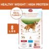 Purina ONE Plus Healthy Weight High-Protein Dog Food Dry Formula - 8 lb. Bag - Image 7
