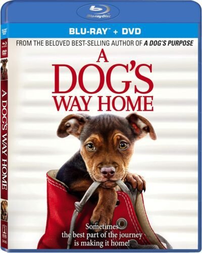 A Dog's Way Home [Blu-ray + DVD]