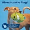 Barkbox 2 in 1 Interactive Plush Dog Toy - Rip and Reveal Toy for Dogs and Puppies - Stimulating Squeaky Pet Toys | Consuela Cactus (Large) - Image 5
