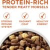 Purina ONE Plus Healthy Weight High-Protein Dog Food Dry Formula - 31.1 lb. Bag - Image 2