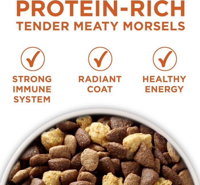 Purina ONE Plus Healthy Weight High-Protein Dog Food Dry Formula - 31.1 lb. Bag