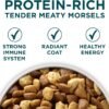 Purina ONE Plus Large Breed Puppy Food Dry Formula - 40 Lb. Bag. - Image 2