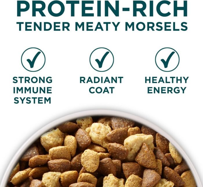 Purina ONE Plus Large Breed Puppy Food Dry Formula - 40 Lb. Bag.