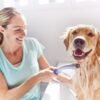 Waterpik Pet Wand Pro Dog Shower Attachment for Fast and Easy Dog Bathing and Cleaning, Indoor and Outdoor Sprayer Includes 8-Foot Flex Hose, Blue/Grey, PPR-252E - Image 8
