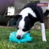 Multipet's 9-Inch Latex Polka Dot Globlet Pig Dog Toy, Assorted Colors - Image 8