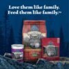 Blue Buffalo Wilderness Trail Toppers Wild Cuts Wet Dog Food Variety Pack, High-Protein & Grain-Free, Made with Natural Ingredients, Chicken and Beef Flavors, 3-oz Pouches, (12 Count, 6 of Each) - Image 7