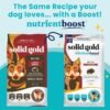 Solid Gold Large Breed Adult Dry Dog Food Whole Grain Kibble with Real Bison, Brown Rice, Sweet Potato and Omega 3 Fish Oil for Dogs, Probiotics - Nutrientboost - 22 LB - Image 2
