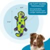 Outward Hound Durablez Tough Plush Squeaky Dog Toy, Gecko, Green, Large - Image 3