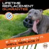 Monster K9 Indestructible Ring Ball - Lifetime Replacement - Medium & Large Breeds - Ultra Durable Dog Toy for Aggressive Chewers - Chew, Tug, & Fetch - 5.5" - Image 5