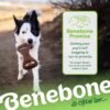 Benebone Dental Durable Dog Chew Toy for Aggressive Chewers, Real Bacon, Made in USA, Medium - Image 6