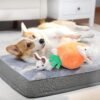 Amazon Basics Hide and Seek Squeaky Dog Plush Toy, Rabbit and Carrot, Orange and White, 5 Pack - Image 6