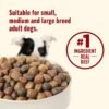 Nutrish Real Beef, Pea & Brown Rice Recipe Whole Health Blend Dry Dog Food, 14 lb. Bag, Packaging May Vary (Rachael Ray) - Image 6