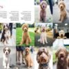 The Dogist: Photographic Encounters with 1,000 Dogs - Image 5