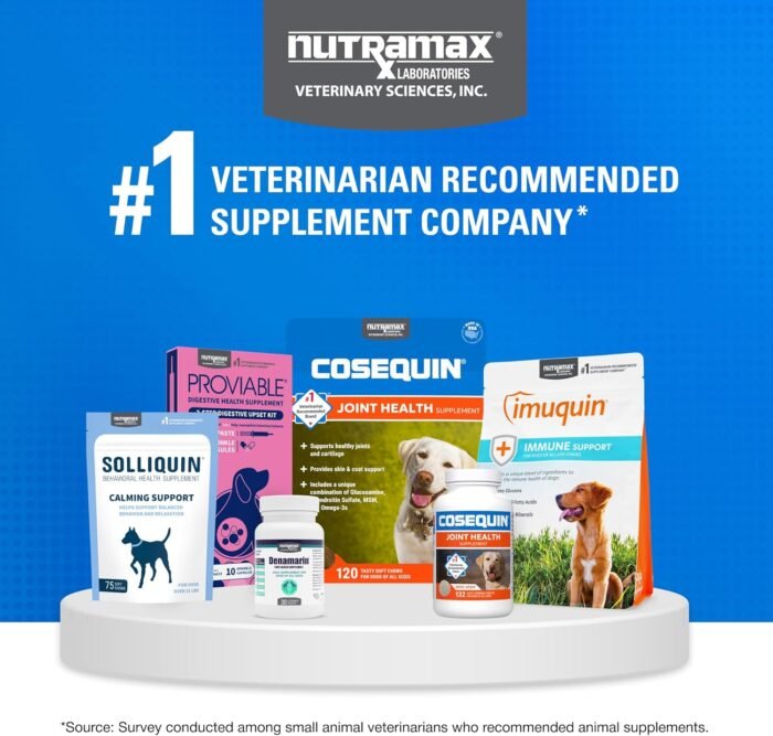 Nutramax Cosequin Minis Maximum Strength Joint Health Supplement - With Glucosamine, Chondroitin, MSM, and Omega-3's, 45 Soft Chews