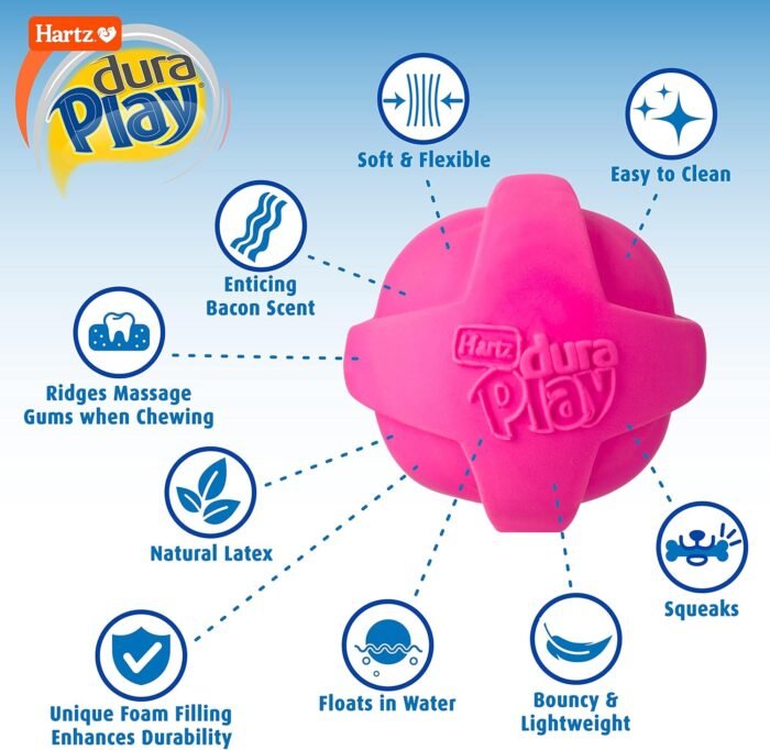 Hartz DuraPlay Bacon Scented Dog Toys, Small (Assorted Color)