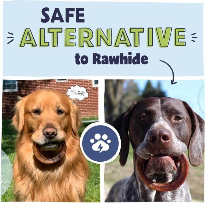 81BUPMNUsL._AC_SL1500_.jpg Pawstruck All-Natural 4" Bully Stick Rings for Dogs - Rawhide-Free, 100% Beef, Single Ingredient Dental Chew Bones - Fully Digestible, Low Odor - 10 Count - Packaging May Vary