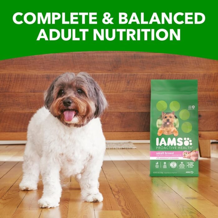 IAMS Small & Toy Breed Adult Dry Dog Food for Small Dogs with Real Chicken, 15 lb. Bag