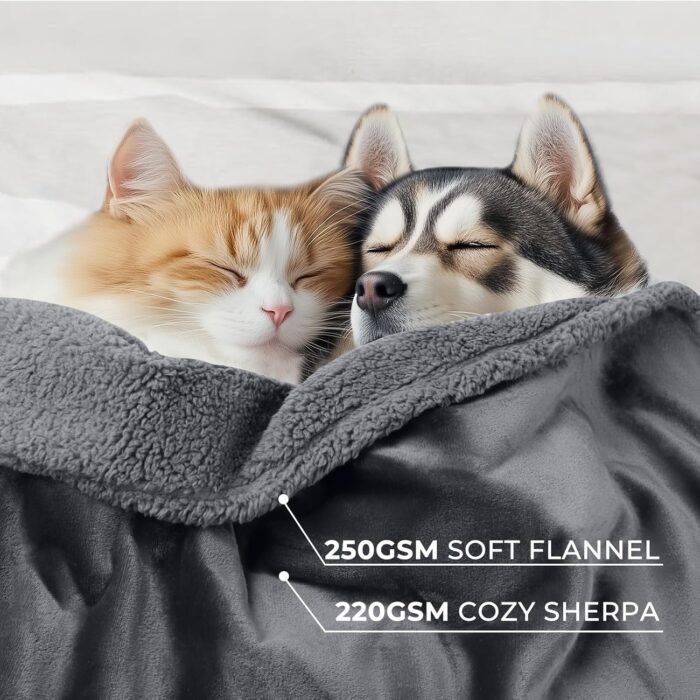 Waterproof Pet Blanket, Liquid Pee Proof Dog Blanket for Sofa Bed Couch, Reversible Sherpa Fleece Furniture Protector Cover for Small Medium Large Dogs Cats, Dark Gray Large（65" x 57"）