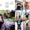 The Dogist: Photographic Encounters with 1,000 Dogs - Image 4