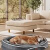 OhGeni Orthopedic Dog Bed Couch for Large Sized Pets with Egg Foam Support, Four-Sided Bolster Cushions, Soft Tear-Resistant Fabric, and Removable Machine Washable Plush Cover 35-Inch (Gray)
