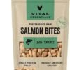 Vital Essentials Freeze Dried Raw Salmon Bites Dog Treats, 2.5 oz | Premium Quality High Protein Training Treats | Grain Free, Gluten Free, Filler Free