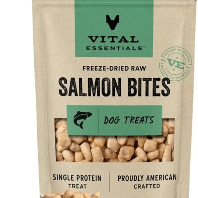 Vital Essentials Freeze Dried Raw Salmon Bites Dog Treats, 2.5 oz | Premium Quality High Protein Training Treats | Grain Free, Gluten Free, Filler Free