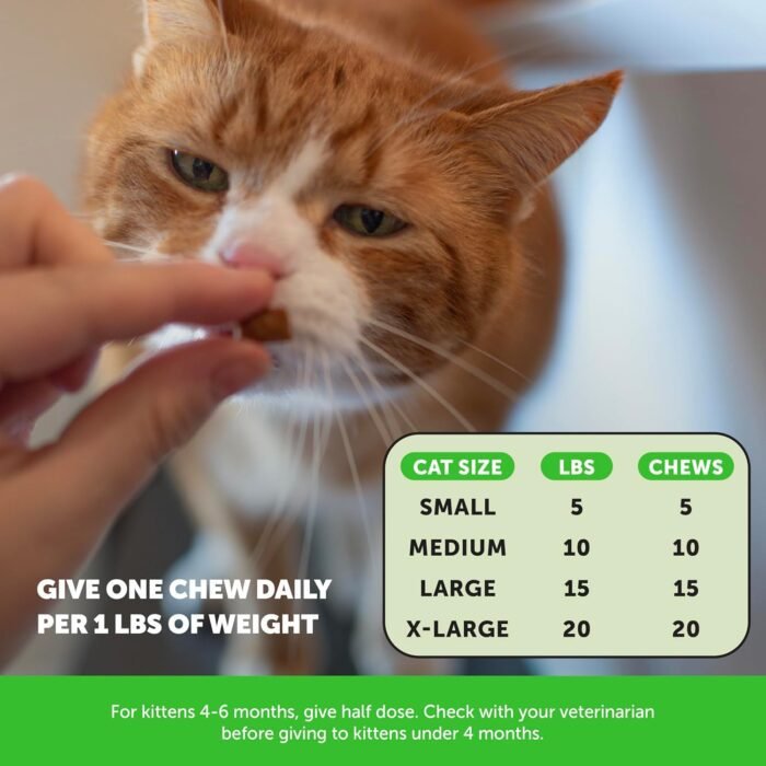 Pet Honesty Cat Hairball Support Crunchy & Creamy Chews, Hairball Remedy Treats, Cat Furball Treatment, Supports Skin & Coat, Digestion, Vitamins & Hairball Medicine, Chicken (90-Day Supply)