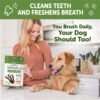 Wellness WHIMZEES Value Box Dog Dental Treats, Natural Chews, Large Size, (24 Count) - Image 6