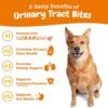 Zesty Paws Cranberry Supplement for Dogs - Bladder Control for Dogs - Urinary Tract Support - Cranberry Chews - Immune & Gut Support - Chicken - 90 Count - Image 2