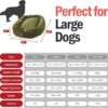 Majestic Pet 40 Inch Micro Velvet Calming Dog Bed Washable – Cozy Soft Round Dog Bed with Spine for Head Support - Fluffy Donut Dog Bed 40x29x9 (inch) – Round Pet Bed Large – Fern - Image 3