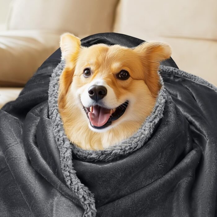 Waterproof Pet Blanket, Liquid Pee Proof Dog Blanket for Sofa Bed Couch, Reversible Sherpa Fleece Furniture Protector Cover for Small Medium Large Dogs Cats, Dark Gray Large（65" x 57"）