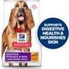 Hill's Science Diet Sensitive Stomach & Skin, Adult 1-5, Large Breed Stomach & Skin Sensitivity Support, Dry Dog Food, Chicken Recipe, 30 lb Bag