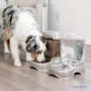 Petmate Pet Cafe Cat and Dog Water Dispenser - Water Bowl for Cats and Dogs, USA Made, 3 GAL, Pearl Tan - Image 7