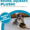Outward Hound, Hedgehogz Plush Dog Toy, Medium - Image 2