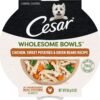 CESAR WHOLESOME BOWLS Adult Soft Wet Dog Food, Chicken, Sweet Potato & Green Beans Recipe, 3 oz., Pack of 10