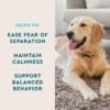 VetIQ Calming Support Supplement for Dogs, Calming Chews Help Manage Stress and Promote Relaxation, Anxiety Relief for Dogs, Made in The USA, 60 Count - Image 4