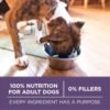 Purina ONE High Protein Dry Senior Dog Food Plus Vibrant Maturity Adult 7 Plus Formula - 31.1 lb. Bag - Image 7