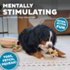 Outward Hound Hide A Squirrel Plush Dog Toy Puzzle, XL - Image 4