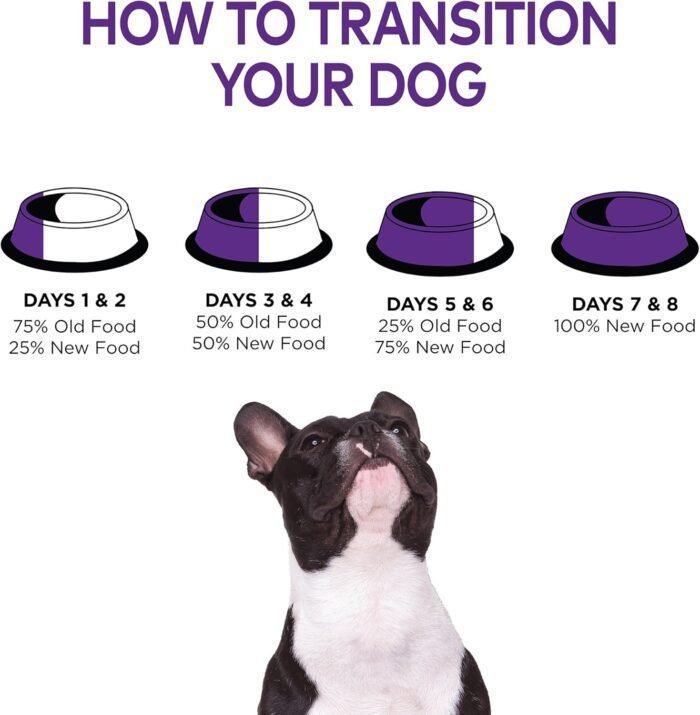 81HAHZcE3CL._AC_SL1500_.jpg Wellness Complete Health Dry Dog Food with Grains, Natural Ingredients, Made in USA with Real Meat, All Breeds, For Adult Dogs (Chicken & Oatmeal, 15-Pound Bag)