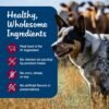 Blue Buffalo Blue's Stew Grain-Free Wet Dog Food, Made with Natural Ingredients, Hearty Beef Stew, 12.5-oz. Cans (12 Count) - Image 6