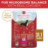Purina ONE Chicken and Rice Formula Dry Dog Food - 31.1 lb. Bag - Image 5