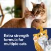 Fresh Step Clean Paws Cat Litter with Febreze Freshness, Advanced Multi Cat Low Tracking Clumping Litter, 37 lbs. (2 x 18.5 lb. Box)