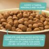 Rachael Ray Nutrish Zero Grain Dry Dog Food, Salmon & Sweet Potato Recipe, 11.5 Pounds - Image 6